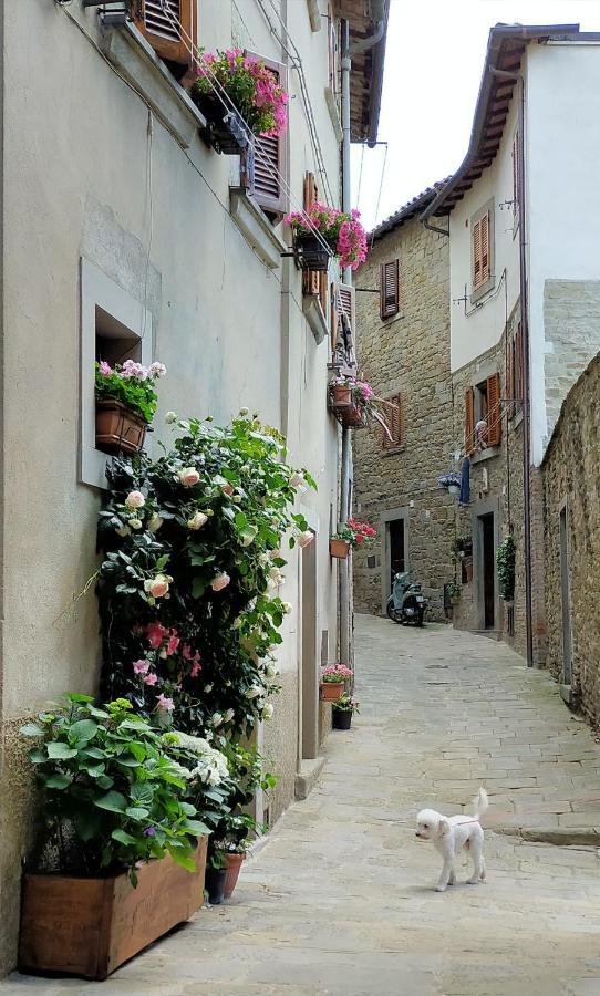 Casa Agata, Accogliente Appartamento Nel Centro Storico Cortona Exteriér fotografie